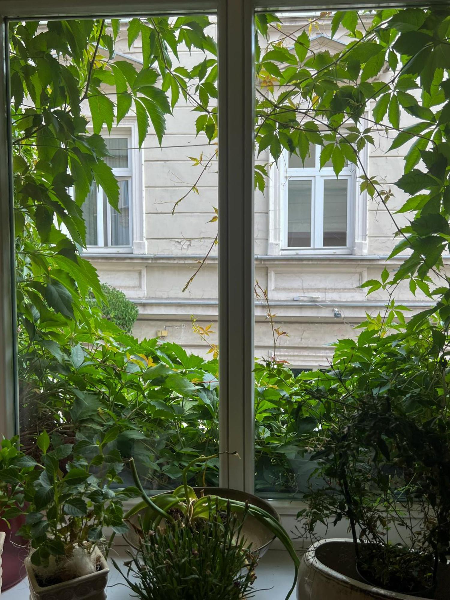 Aparthotel Karmel Krakkó Kültér fotó